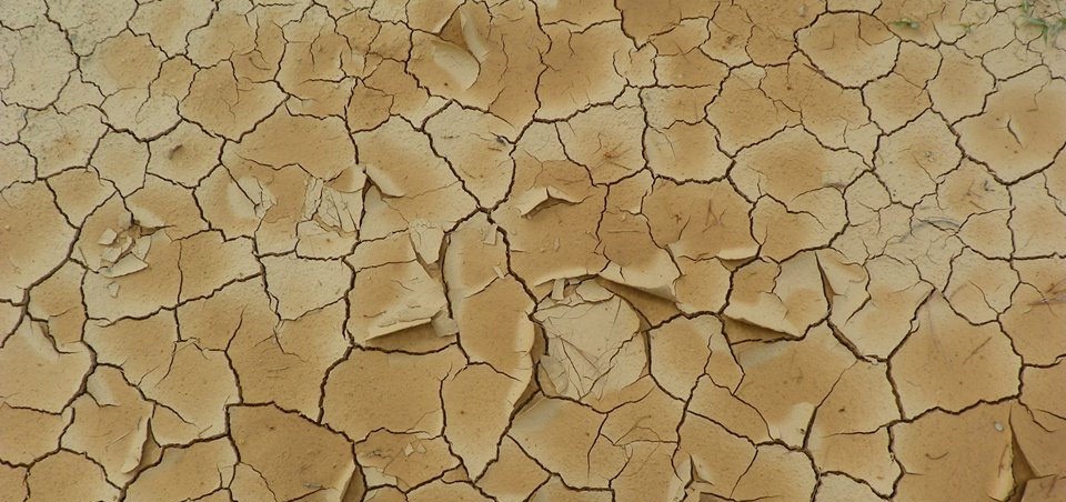 La Ministra de Agricultura apuesta para dar financiamiento a  los seguros agrarios para paliar la sequía